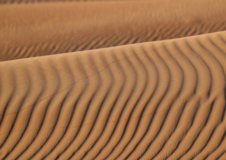 Sand dunes in the Rhub al Khali desert, empty quarter, largest sandy desert in the world, Oman