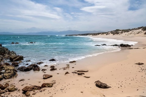 Ocean with coast and beach, Walker Bay Nature Reserve, Western Cape, South Africa