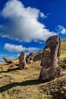 Stone statues on an overgrown hill in sunny weather, The Moai statues on Easter Island in the