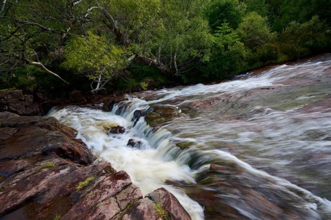 Fast flowing water over rocks surrounded by bushes, Victoria Falls, Slattadale, Achnasheen,