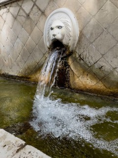 Partial view of large in the picture gargoyle in the form of head of lion lion head below