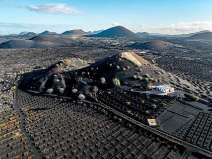 Typical drywall viticulture in volcanic landscape, on volcanic ash, lapilli, aerial view, vines, La