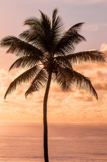 Anse La Liberte beach, Mahe, Republic of Seychelles, Indian Ocean