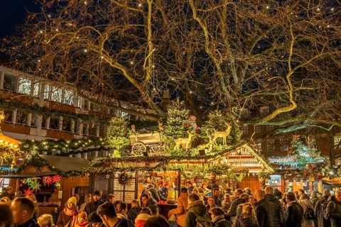 Christmas market in Münster at dusk, North Rhine-Westphalia, Germany