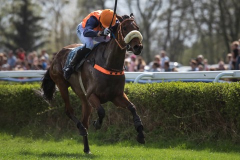 WROCLAW, POLAND - APRIL 15, 2018: Race with fences for four years and older horses at Racecourse