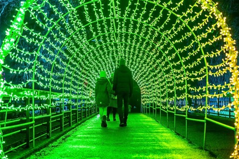 Park lights, events in winter, in the Grugapark in Essen, many different light installations,