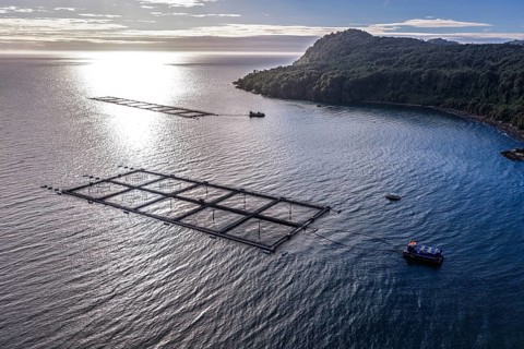 Salmon farm north of El Chaiten, aerial view, Chile