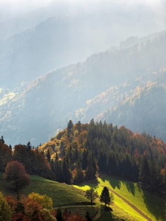 Autumn landscape on Schauinsland in the Black Forest, mountain slopes and forests during morning