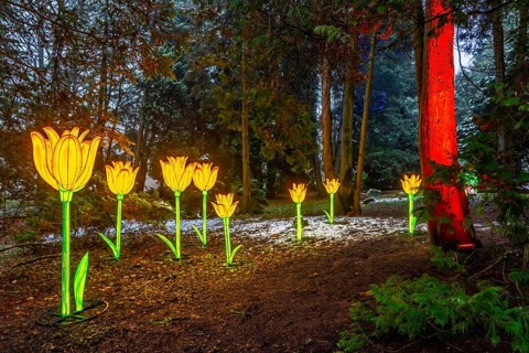 Park lights, events in winter, in the Grugapark in Essen, many different light installations,