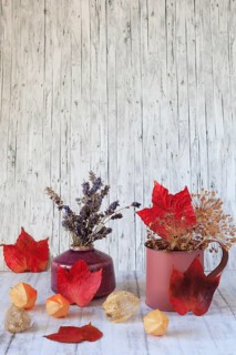 Still life with autumn leaves, Germany