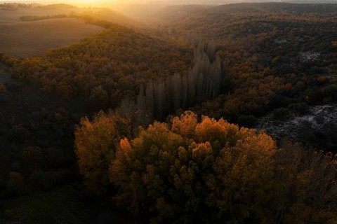 An aerial view of a lush landscape, highlighted by vibrant golden autumn leaves in the foreground,