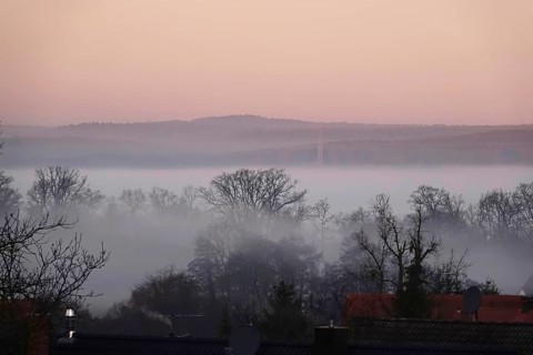 Morning fog in winter, landscape with trees, Germany