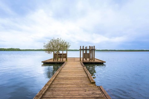 Wooden pier extending over calm lake water, leading to a floating platform with a small tree and