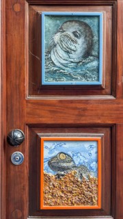 Colourfully painted doors on Santa Maria Street in the old town, Funchal, Madeira, Portugal