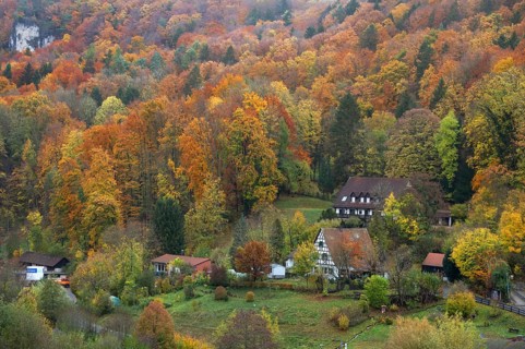 Herbstlicher Mischwald, Egloffstein, Upper Franconia, Bavaria, Germany