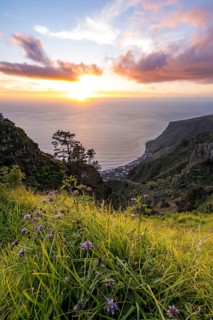 Evening mood, green coastal landscape on a steep cliff at sunset, sea and coast, viewpoint