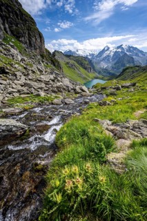 Mountain stream in picturesque mountain landscape, view of mountain lake Lac du Louvie and