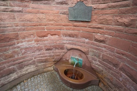 Sauerbrunnen with information board, Bad Soden, Taunus, Hesse, Germany