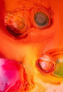 This vibrant abstract image features liquids shapes and vivid colors. With a mix of orange, pink,