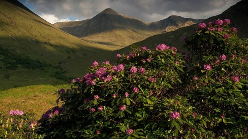 Europe, Scotland, England, Highlands, Glencoe