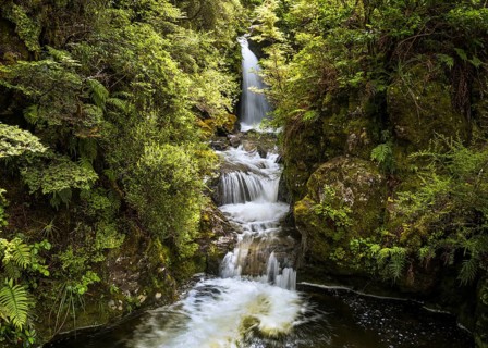 Waterfall in the forest. Avalanche Creek Waterfall, Arthurs Pass, Canterbury South Island, New