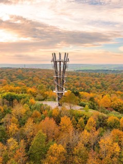 A striking observation tower stands in the middle of a vividly coloured autumn forest,