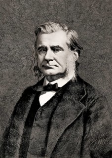 Thomas Henry Huxley, 1825 – 1895, English biologist and anthropologist, specialized in comparative