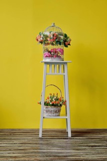 Decoration of the room with birdcage and basket with frlowers on white wood chair near yellow wall
