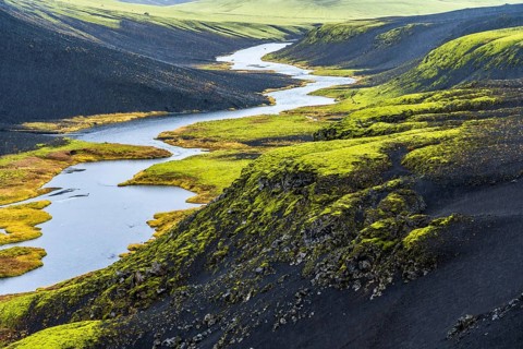 Aerial view of a winding river in Iceland, flanked by vibrant green moss-covered hills and rugged