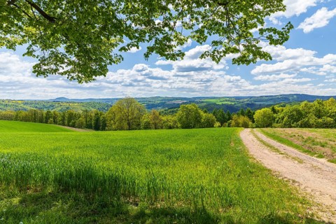 View from Cunnersdorfer Lime tree over the Eastern Ore Mountains, Glashütte, Saxony, Germany