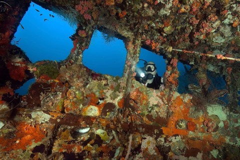 Diver looks glows from outside through window opening of a sunken shipwreck, Indian Ocean, Potato