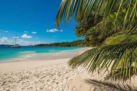 Anse Lazio Beach, Praslin, Republic of Seychelles, Indian Ocean