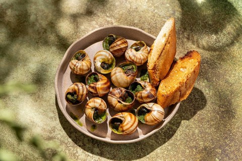 Baked escargot snug in shells with lush green parsley and golden melted butter, served with slices