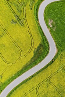 Aerial view of the winding serpentine road between blossoming rapeseed fields from Reifland to