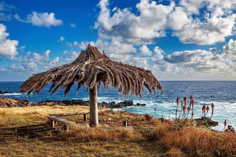 A thatched roof stands on a coastal meadow with views of the sea and clouds in the sky, landscape
