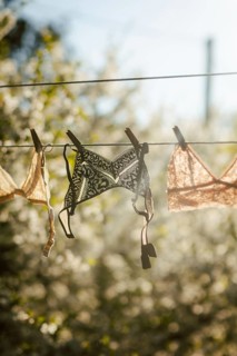 Sunlit bras hanging on a clothesline outdoors, capturing the natural drying process. The delicate