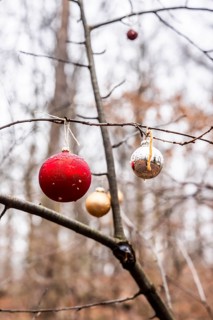 Christmas tree balls on trees in Grunewald, Zehlendorf, Berlin, Germany