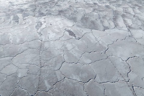Aerial view of saline mud flats displaying a unique cracked surface pattern. The intricate texture