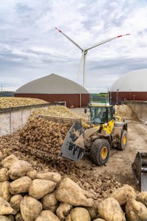 Biogas plant produces gas from various biomass, here the sugar beet storage, the electricity is