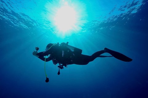 Silhouette of a female diver in the sea illuminated by bright sunlight through the water, Giens