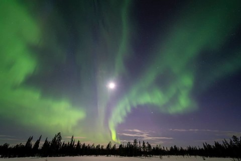 Northern Lights (Aurora borealis), Muddus National Park, Laponia World Heritage Site, Norrbotten,