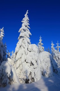 Winter landscape in the Fichtelgebirge, Bayreuth district, Upper Franconia, Bavaria, Germany