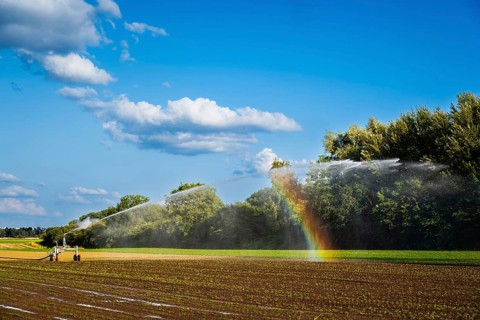 A rainbow forms on an irrigation system in a field in Düsseldorf, Germany