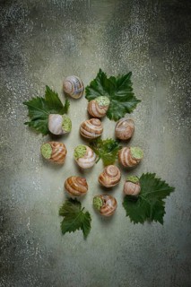 Snails stuffed in Burgundy, top view, with grape leaves, French cuisine, no people