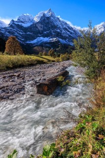 Wild river in front of snow-covered mountains, autumn, maple trees, sunny, Engalm, Großer