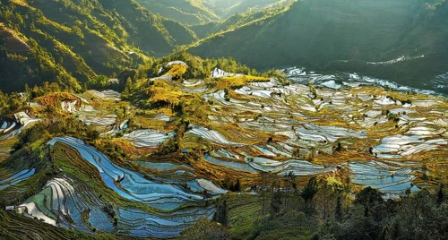 Celestial Stairs — The Yuanyang Rice Terraces in Yunnan, China, carved by the Hani people over 1,