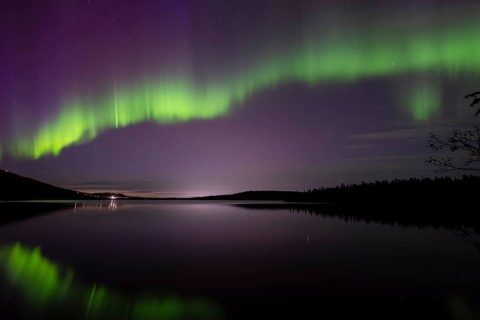 Northern Lights (Aurora borealis) reflected in a forest lake, Gällivare, Norrbotten, Lapland,