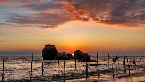 Sunset on the coast with wooden posts and soft clouds, The Stilt Fishermen's Beach near Koggala in