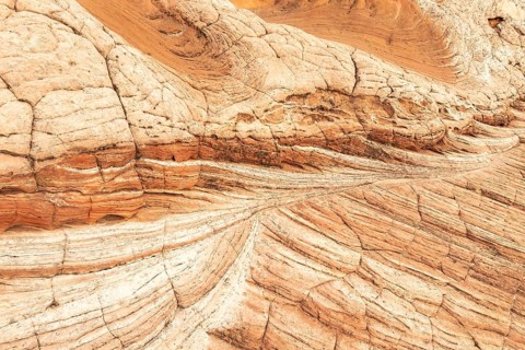 A captivating close-up of textured red desert rock formations. The image showcases intricate layers