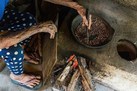 Close up of hands stirring balinese coffee beans in a rustic pan over a wood fire. The scene